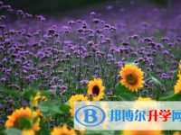 2021年寶雞中考報(bào)名號(hào)