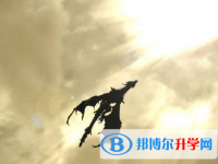 2021年寶雞中考報(bào)名網(wǎng)