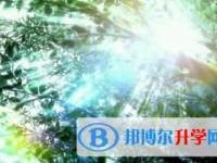 2021年紅河中考成績(jī)?cè)趺此? /><b>2021年紅河中考成績(jī)?cè)趺此?/b><span>2021-01-14 14:19</span><p>學(xué)習(xí)對(duì)每個(gè)人的重要性大家都知道，我們都知道學(xué)習(xí)代表未來，成績(jī)代表過去，學(xué)習(xí)成就人生，學(xué)習(xí)改變命運(yùn)，學(xué)習(xí)可以致富，這些話語(yǔ)</p></a></h3></li>
<li><h3><a href=