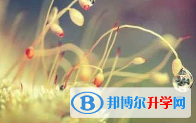 2021年紅河中考體育成績對照表