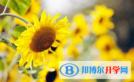 2021年寶雞中考錄取報名網(wǎng)