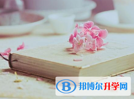 2021年紅河中考報名網站