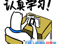 2021年紅河中考規則