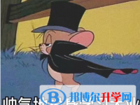 2021年紅河中考成績(jī)什么時(shí)候公布