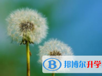 2021年寶雞中考網上學校