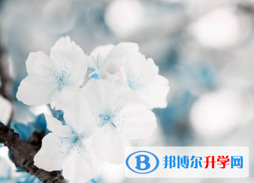 2021年寶雞中考網(wǎng)上報名系統(tǒng)