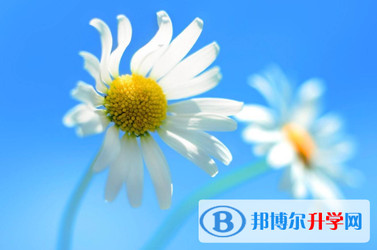  2021年寶雞中考網上報名模擬