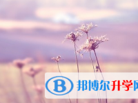 2021年寶雞中考網絡服務應用平臺