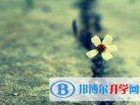 2021年寶雞中考網絡平臺
