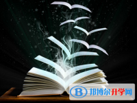 2021年文山中考人數