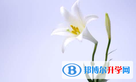  2021年寶雞中考信息服務平臺