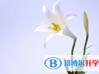 2021年寶雞中考信息服務平臺
