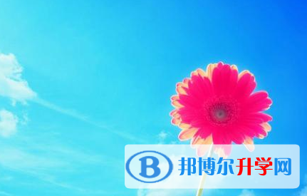2021年寶雞中考招生計(jì)劃查詢