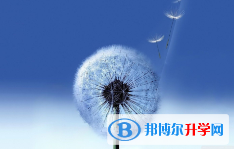 2021年寶雞中考在哪里查詢(xún)