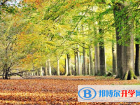 2021年寶雞今年中考統招線包括哪些區域