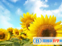 2021年寶雞中考后計劃