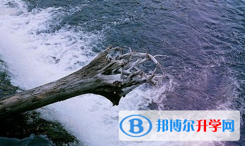 2021年寶雞中考沒有被學(xué)校錄取咋辦