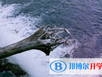 2021年寶雞中考沒有被學校錄取咋辦