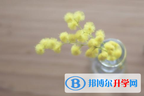 2021年寶雞中考模擬填報志愿