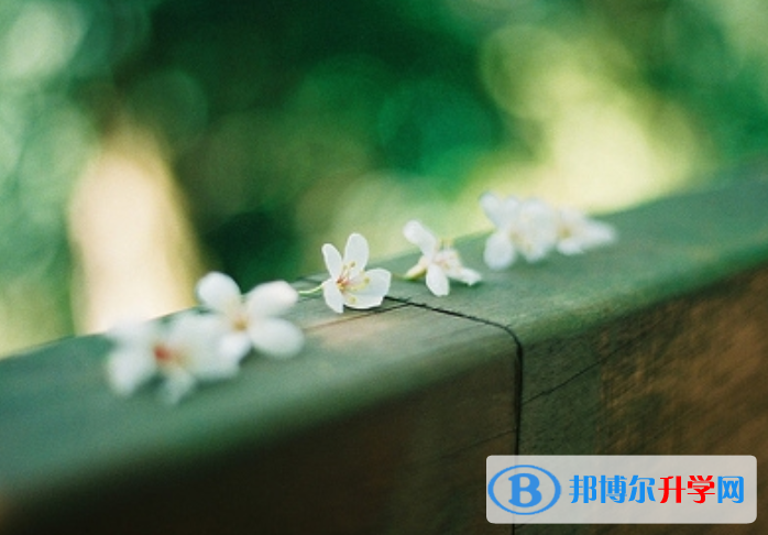 2021西雙版納中考的報名號是什么