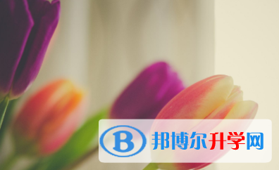 2021年大理網上查詢中考成績