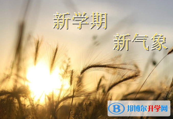 2021年攀枝花中考成績查詢方法