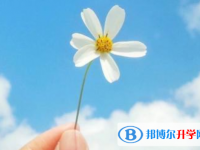 2021年攀枝花中考報(bào)考人數(shù)