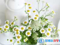 2021年攀枝花中考報(bào)名平臺(tái)