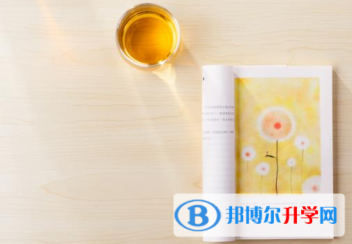 2021年德陽中考報(bào)名網(wǎng)站是什么
