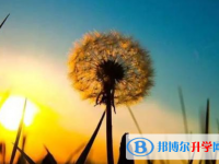 2021年攀枝花中考報(bào)名號(hào)