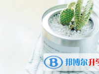 2021年宜賓網(wǎng)上查詢中考成績
