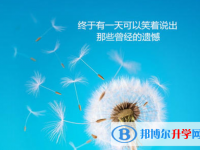 2021年廣安中考錄取報名網