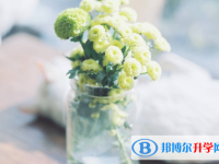 2021年廣安中考上的學校