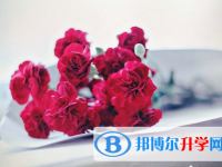 2021年廣安中考網中考查詢
