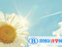 2021年廣安中考網上學校