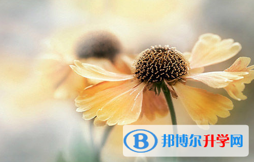 2021年廣安中考網(wǎng)上報名
