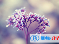 2021年廣安中考網上報考信息平臺