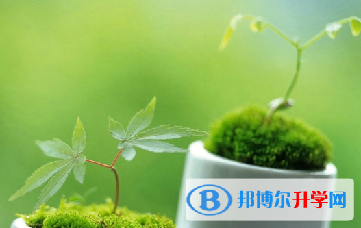 2021年廣安中考網絡應用服務平臺