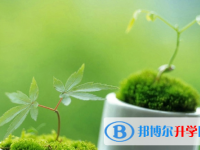 2021年廣安中考網絡應用服務平臺