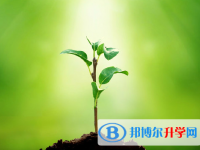 2021年廣安中考網絡平臺