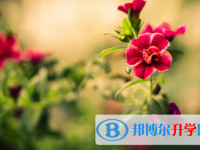 2021年廣安中考網絡登錄