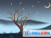 2021年廣安中考怎樣調劑