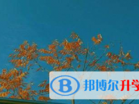 2021年宜賓中考規則