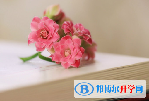 2021年廣安中考志愿怎么填報(bào)