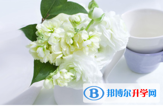 2021年雅安中考報考學校名單