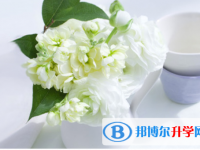 2021年雅安中考報考學校名單
