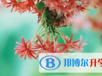 2021年宜賓中考志愿填報網(wǎng)址