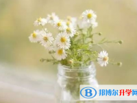 2021年廣元中考調招