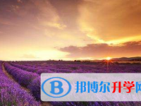 2021年宜賓沒有學籍可以參加中考嗎