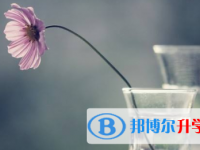 2021年宜賓中考體考標(biāo)準(zhǔn)